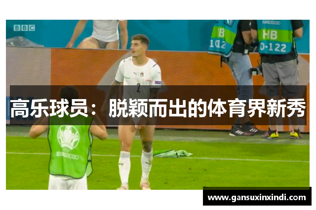 高乐球员：脱颖而出的体育界新秀