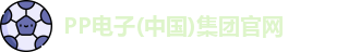 PP电子